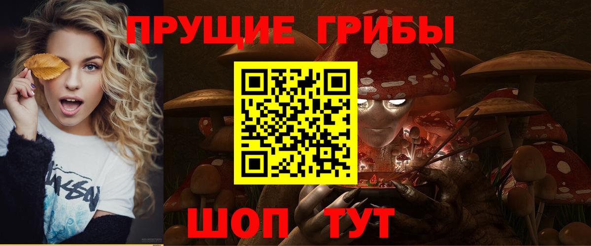 Псилоцибиновые грибы прущие грибы Чита