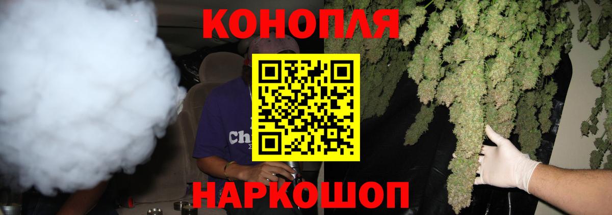 Бошки марихуана Ganja  Каннабис Ganja  Чита  Конопля план  Вход с VPN  Каннабис сатива 